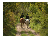 rutas a caballo en riopar